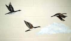 mural_ducks