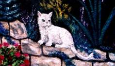 white-cat