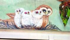 owls